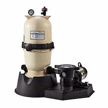 Pentair Clean and Clear 150 square foot Cartridge Filter 