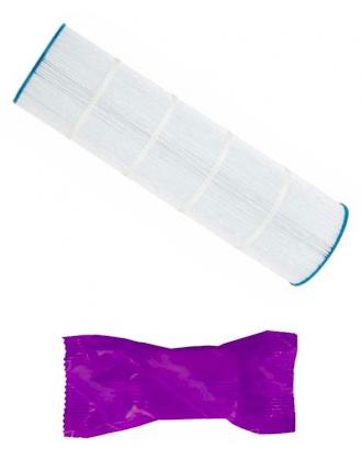 Pleatco PA175 M Replacement Filter Cartridge with 1 Filter Wash